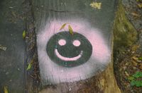 Ein lachendes Gesicht im Wald